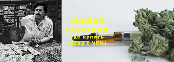 первитин Богданович