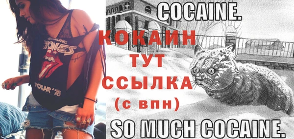 первитин Богданович