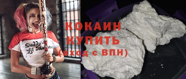 первитин Богданович