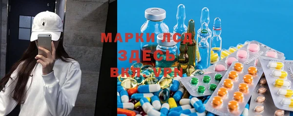 PSILOCYBIN Богородицк