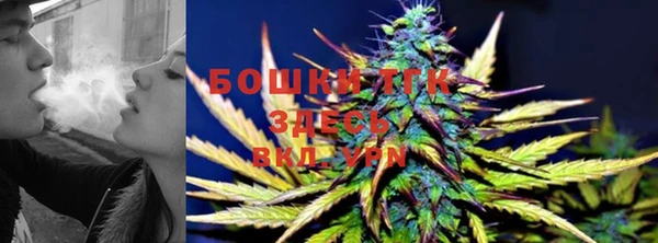 PSILOCYBIN Богородицк