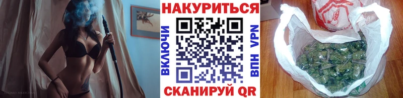 Бошки Шишки гибрид  Грозный 